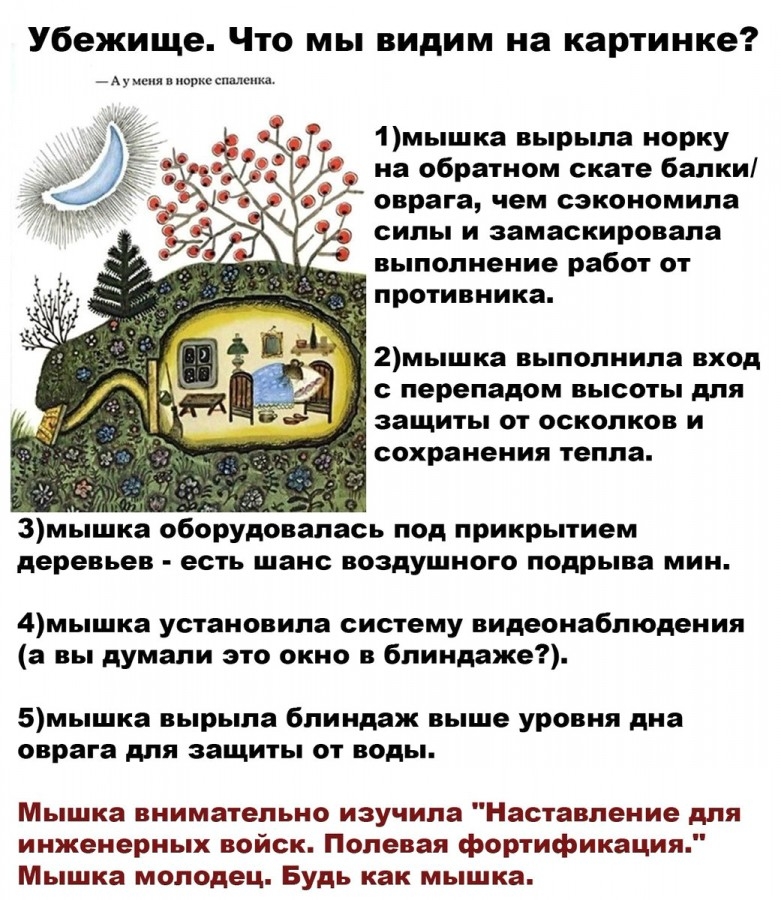 Click image for larger version

Name:	2587329_900.jpg
Views:	1295
Size:	406.3 KB
ID:	1764