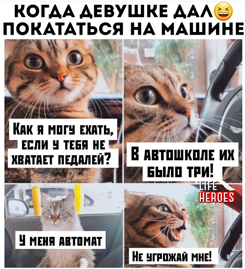 Click image for larger version Name: IMG-20200922-WA0004.jpg Views: 150 Size: 680.1 KB ID: 4263
