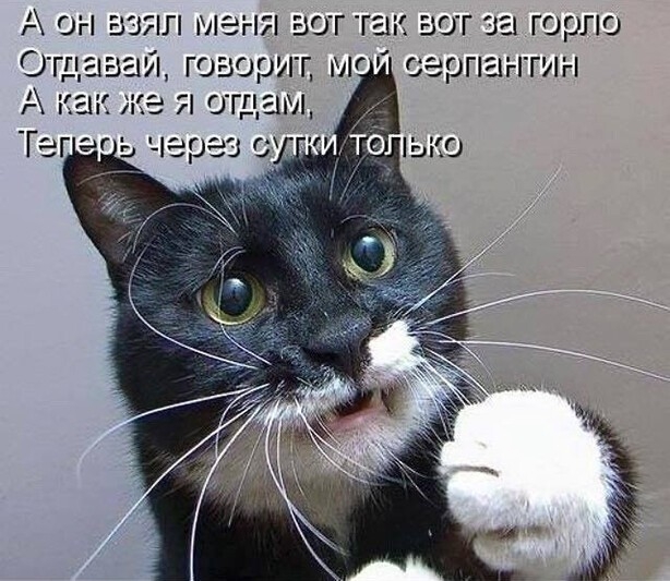 Click image for larger version

Name:	37.jpg
Views:	211
Size:	213.9 KB
ID:	3012