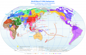 Click image for larger version

Name:	World_Map_of_Y-DNA_Haplogroups.png
Views:	347
Size:	1.51 MB
ID:	5243