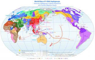 Click image for larger version

Name:	World_Map_of_Y-DNA_Haplogroups.png
Views:	311
Size:	1.51 MB
ID:	5243