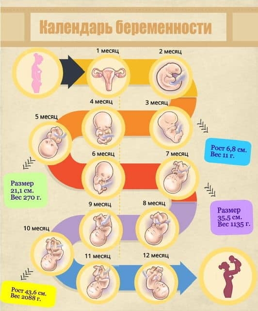 Click image for larger version

Name:	Beremchatost.jpg
Views:	124
Size:	140.5 KB
ID:	5250