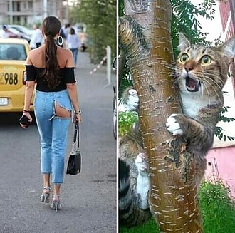 Click image for larger version

Name:	19.jpg
Views:	372
Size:	216.8 KB
ID:	5467