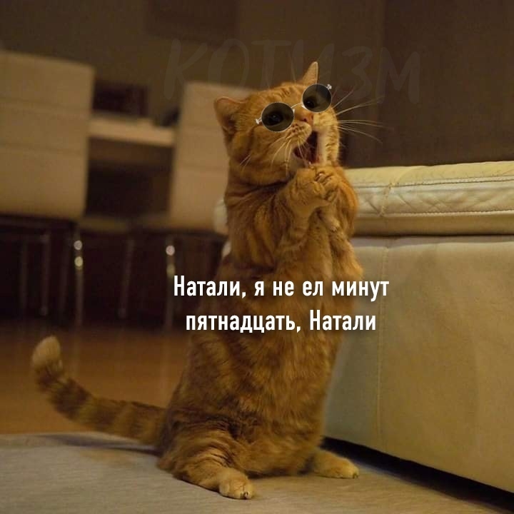 Click image for larger version

Name:	002.jpg
Views:	117
Size:	147.9 KB
ID:	5627