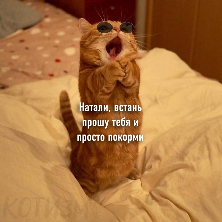 Click image for larger version

Name:	003.jpg
Views:	114
Size:	159.5 KB
ID:	5628