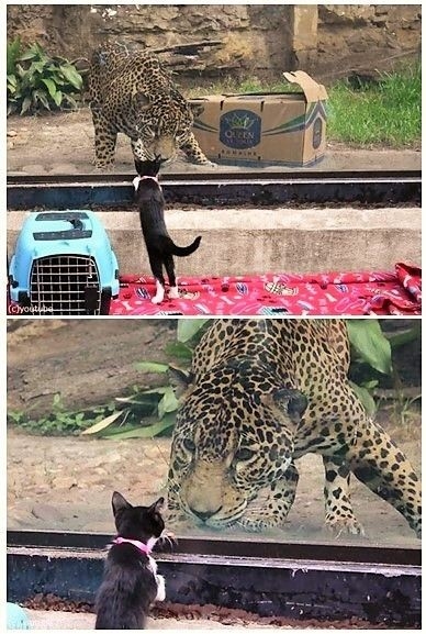 Click image for larger version

Name:	98b9ba44e015d86f8219639f0d38352a74b2d6cd.jpg
Views:	143
Size:	196.6 KB
ID:	6090