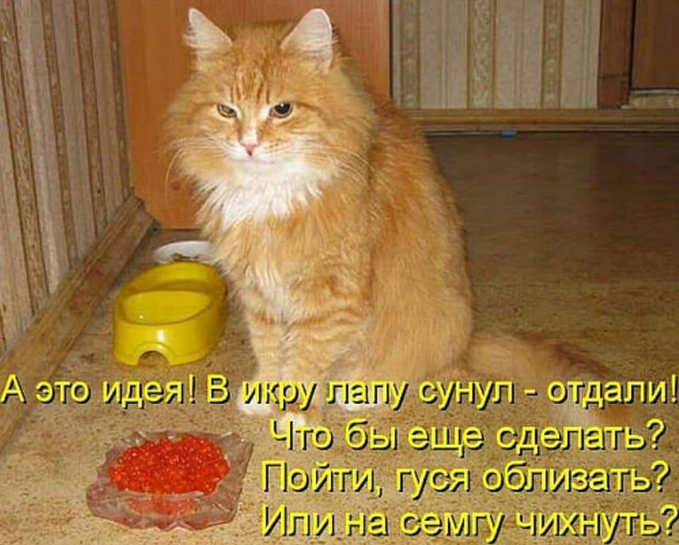 Click image for larger version

Name:	FB_IMG_1604851550256.jpg
Views:	240
Size:	298.1 KB
ID:	6213