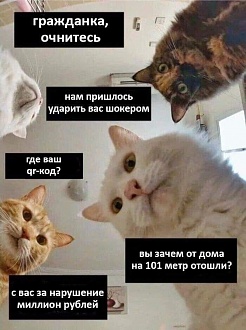 Click image for larger version

Name:	17b7e0e0c846e09f8e197434c87ddac5.jpg
Views:	211
Size:	212.1 KB
ID:	6277