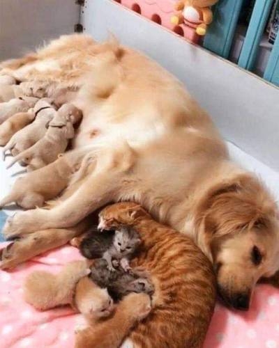 Click image for larger version

Name:	7587fd3c1caa6f02602f213823d150083ad4d701.jpg
Views:	104
Size:	92.3 KB
ID:	6464