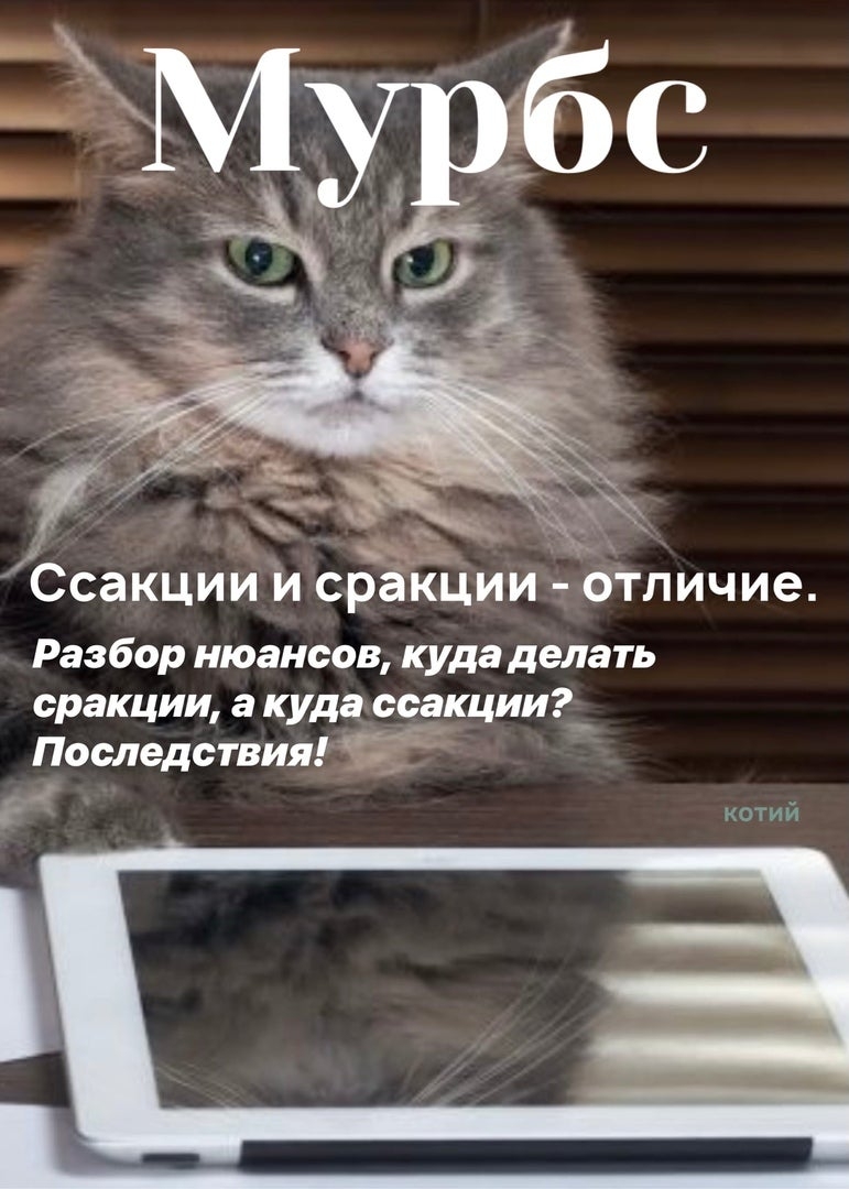 Click image for larger version

Name:	13-05-56-x7a66fwl1cz51.jpg
Views:	81
Size:	321.2 KB
ID:	6711