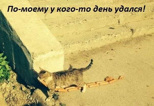 Click image for larger version

Name:	FB_IMG_1605814502280.jpg
Views:	132
Size:	143.5 KB
ID:	6831