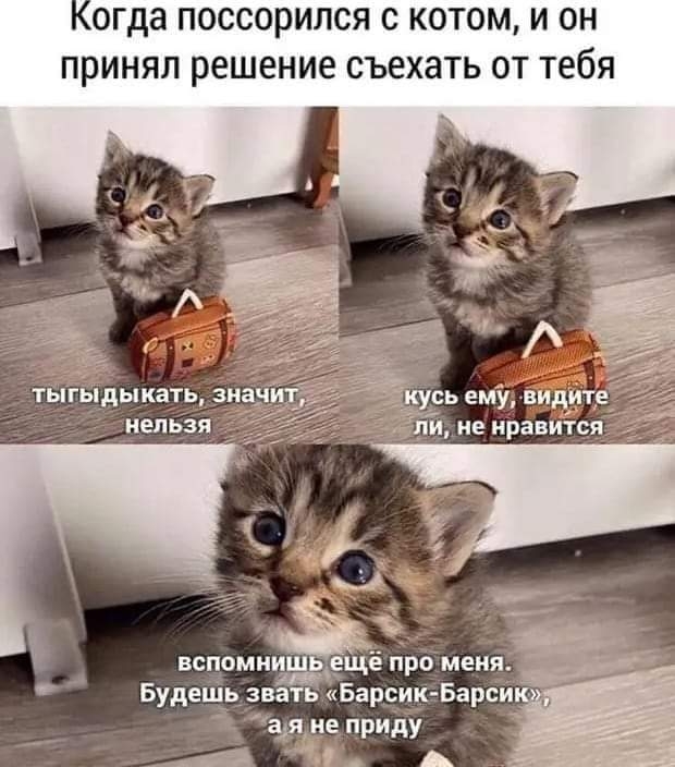 Click image for larger version

Name:	FB_IMG_1605818209674.jpg
Views:	131
Size:	181.5 KB
ID:	6837