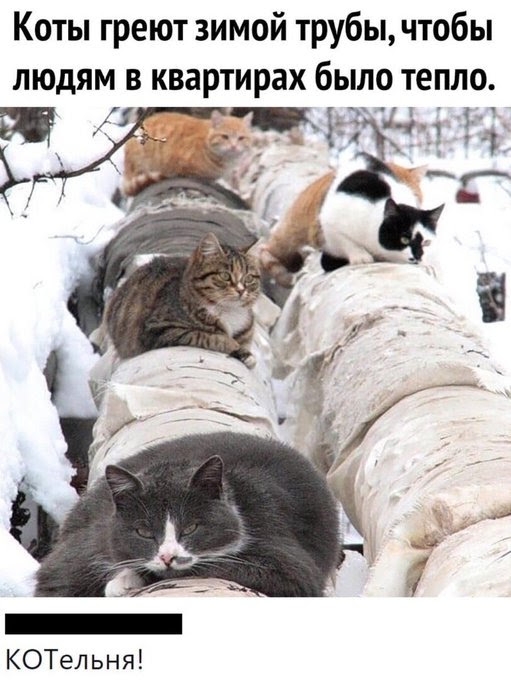 Click image for larger version

Name:	boktK9vo-CBMUkcKD6U5x1qXH0-1ZTsIg4GhHRSlOh6XZZu5nDDzCrSwH0uitobC83W4ucjtPbHuQUs=s680-nd.jpg
Views:	120
Size:	186.9 KB
ID:	6906