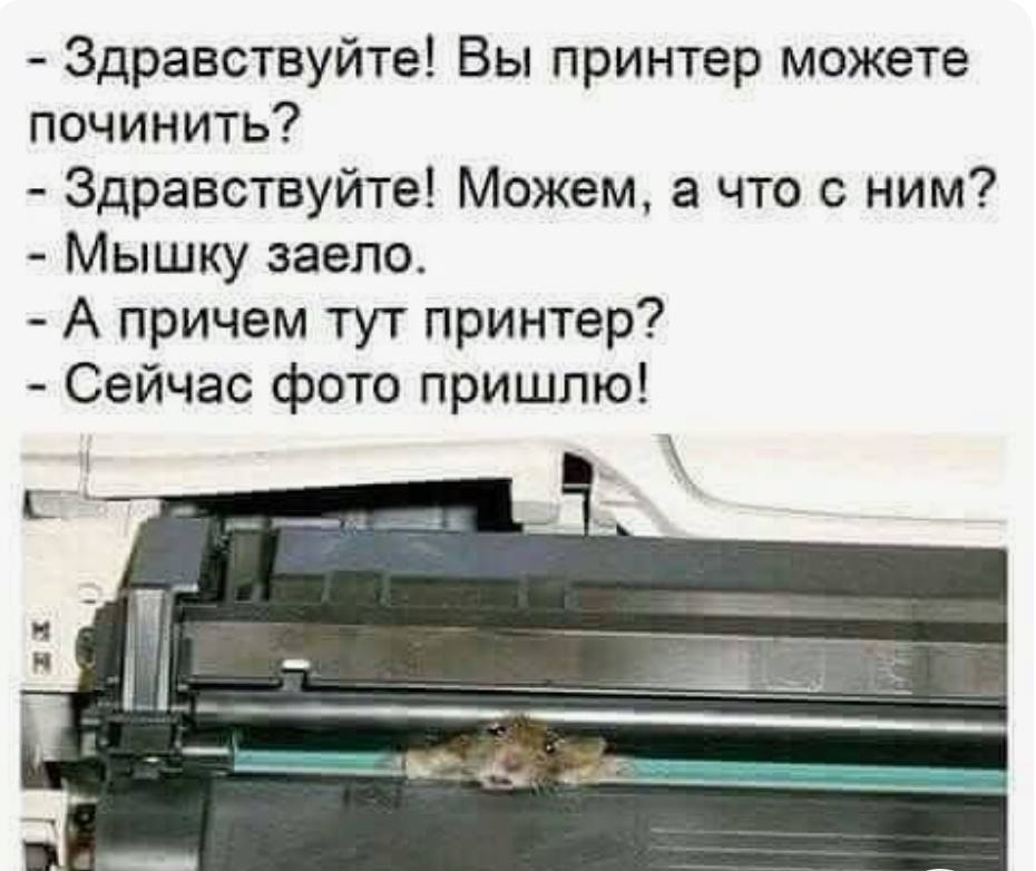 Click image for larger version

Name:	maus.jpg
Views:	786
Size:	208.2 KB
ID:	7190