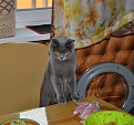 Click image for larger version

Name:	DSC_0146.jpg
Views:	333
Size:	3.34 MB
ID:	7314