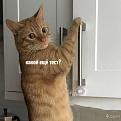 Click image for larger version

Name:	4.jpg
Views:	239
Size:	189.3 KB
ID:	7535