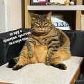 Click image for larger version

Name:	2.jpg
Views:	237
Size:	407.6 KB
ID:	7536