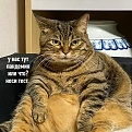 Click image for larger version

Name:	3.jpg
Views:	246
Size:	416.8 KB
ID:	7537