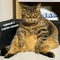 Click image for larger version

Name:	5.jpg
Views:	236
Size:	433.4 KB
ID:	7538