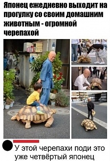 Click image for larger version

Name:	1607148775110240743.jpg
Views:	355
Size:	269.8 KB
ID:	7618