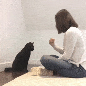 Click image for larger version

Name:	b14.gif
Views:	90
Size:	7.26 MB
ID:	8408