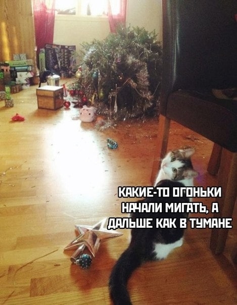 Click image for larger version

Name:	photo-2021-01-01-15-27-02.jpg
Views:	192
Size:	151.4 KB
ID:	8542