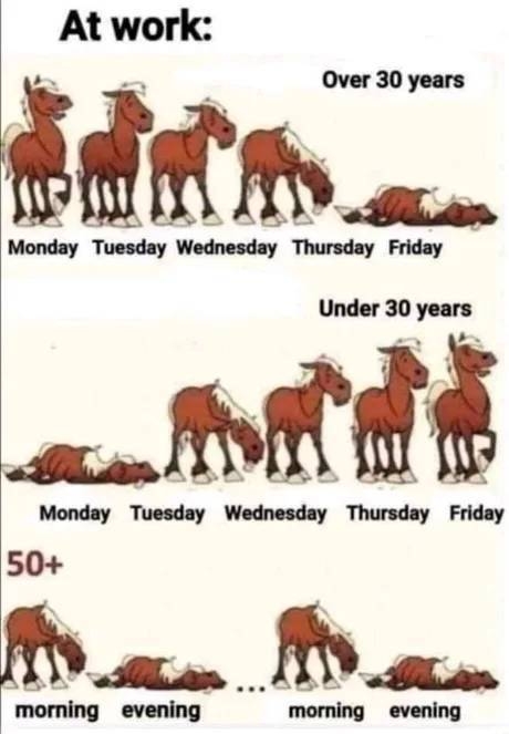 Click image for larger version

Name:	funny_picdump_640_high_37.jpg
Views:	191
Size:	104.3 KB
ID:	9871