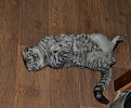 Click image for larger version

Name:	h-1994.jpg
Views:	394
Size:	2.32 MB
ID:	9877