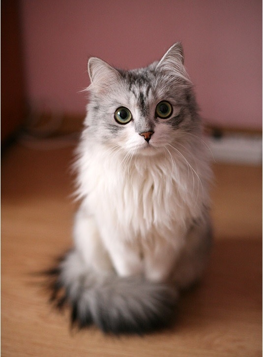 Click image for larger version

Name:	3aa86d2f9b61ca36290a3a443ca597ec2f5e89cf.jpg
Views:	181
Size:	164.7 KB
ID:	10011