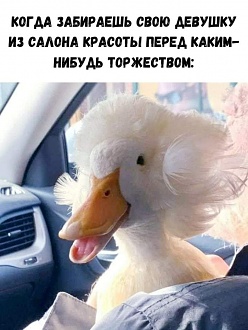 Click image for larger version

Name:	1612363983152958030.jpg
Views:	367
Size:	217.3 KB
ID:	10045