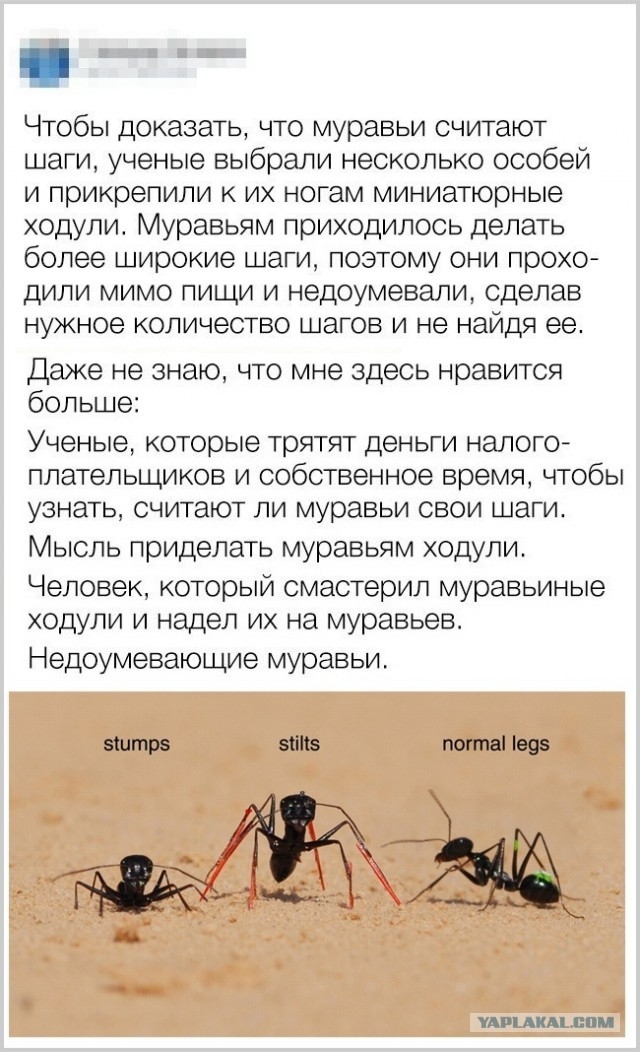 Click image for larger version

Name:	9dcddddea834.jpg
Views:	121
Size:	337.2 KB
ID:	10313