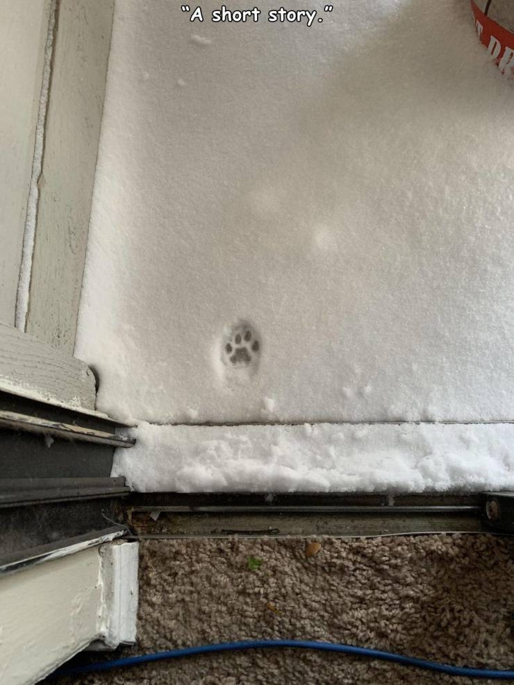 Click image for larger version

Name:	daily_picdump_3667_640_high_14.jpg
Views:	149
Size:	271.9 KB
ID:	10400