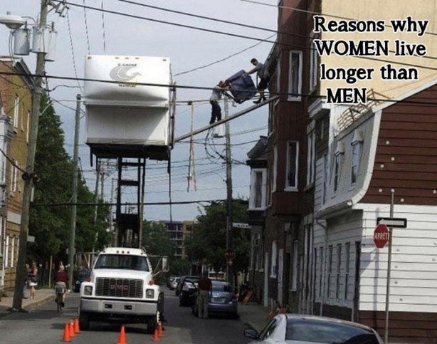 Click image for larger version

Name:	11-614x483.jpg
Views:	101
Size:	202.5 KB
ID:	10428