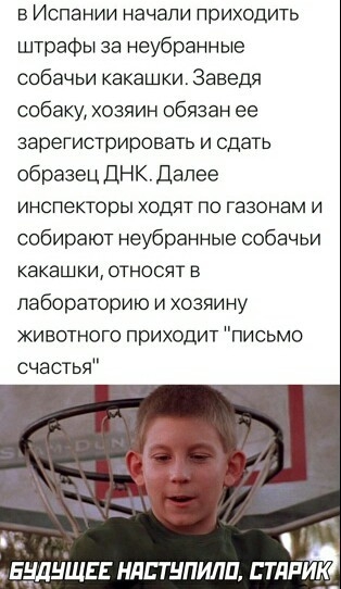 Click image for larger version

Name:	1615371191186813971.jpg
Views:	195
Size:	114.9 KB
ID:	10917