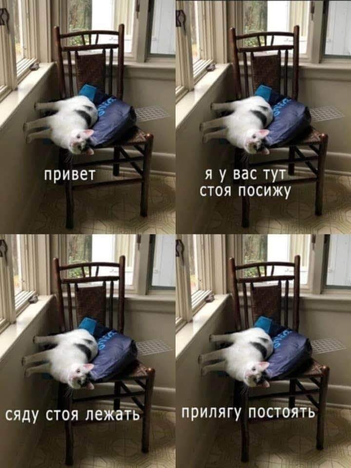 Click image for larger version

Name:	FB_IMG_1617205349378.jpg
Views:	201
Size:	229.7 KB
ID:	11644