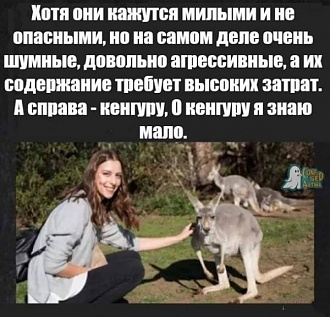 Click image for larger version

Name:	1617306686143810031.jpg
Views:	268
Size:	150.8 KB
ID:	11715