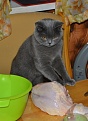 Click image for larger version

Name:	DSC_0044.jpg
Views:	313
Size:	2.04 MB
ID:	12696
