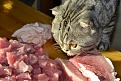 Click image for larger version

Name:	DSC_0048.jpg
Views:	296
Size:	3.78 MB
ID:	12700