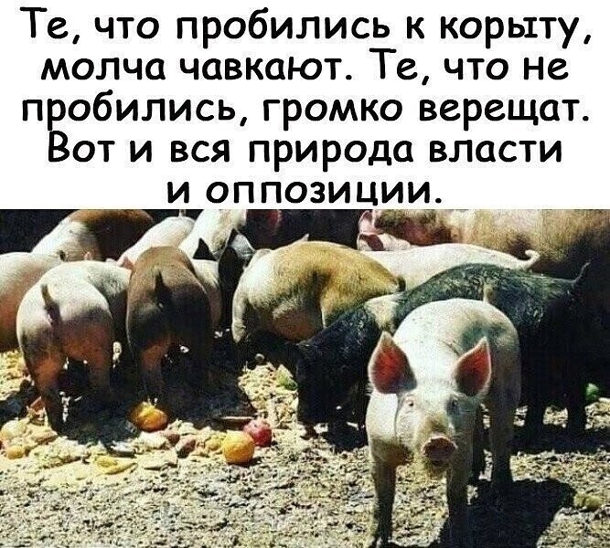 Click image for larger version

Name:	3EkpxZfg6ng.jpg?size=667x600&amp;quality=96&amp;sign=c36a9d234952b931fea80b7aa909760d&amp;type=album.jpg
Views:	199
Size:	296.4 KB
ID:	12751