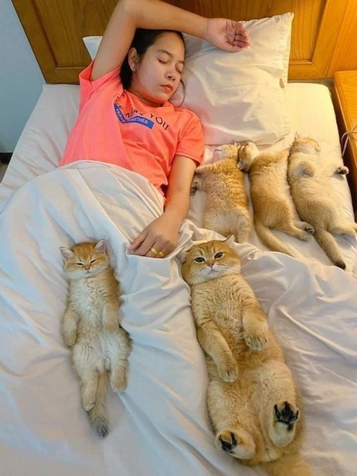Click image for larger version

Name:	26887088f9682e979e9ea3440f6beffe60ad31dd.jpg
Views:	195
Size:	170.5 KB
ID:	12847