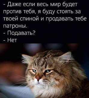 Click image for larger version

Name:	1621917183119667591.jpg
Views:	428
Size:	130.3 KB
ID:	12922
