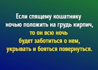 Click image for larger version

Name:	1623060622141735216.jpg
Views:	250
Size:	79.3 KB
ID:	13194