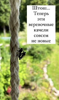 Click image for larger version

Name:	162600999314778411.jpg
Views:	335
Size:	450.6 KB
ID:	13718