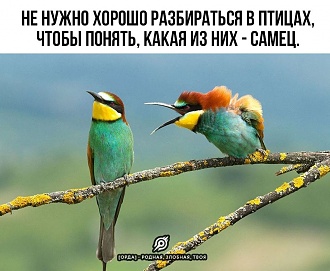 Click image for larger version

Name:	IMG_20210714_181905_809.jpg
Views:	203
Size:	292.4 KB
ID:	13780