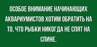 Click image for larger version

Name:	1626243728119924233.jpg
Views:	313
Size:	188.4 KB
ID:	13792