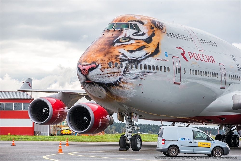 Click image for larger version

Name:	russia-tiger.jpg
Views:	565
Size:	466.8 KB
ID:	14575