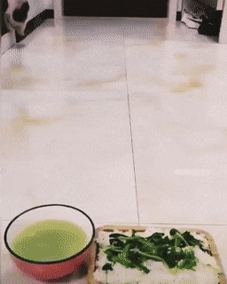 Click image for larger version

Name:	e818d365e16b48b785cfb631693164b9a3aa8e1c.gifv.gif
Views:	107
Size:	4.18 MB
ID:	14713