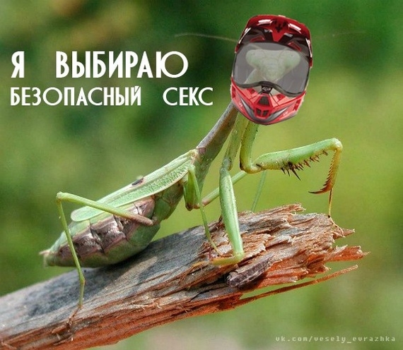 Click image for larger version

Name:	1639680890194086640.jpg
Views:	152
Size:	200.6 KB
ID:	16711