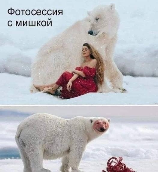 Click image for larger version

Name:	1640537100196017592.jpg
Views:	170
Size:	105.9 KB
ID:	16877