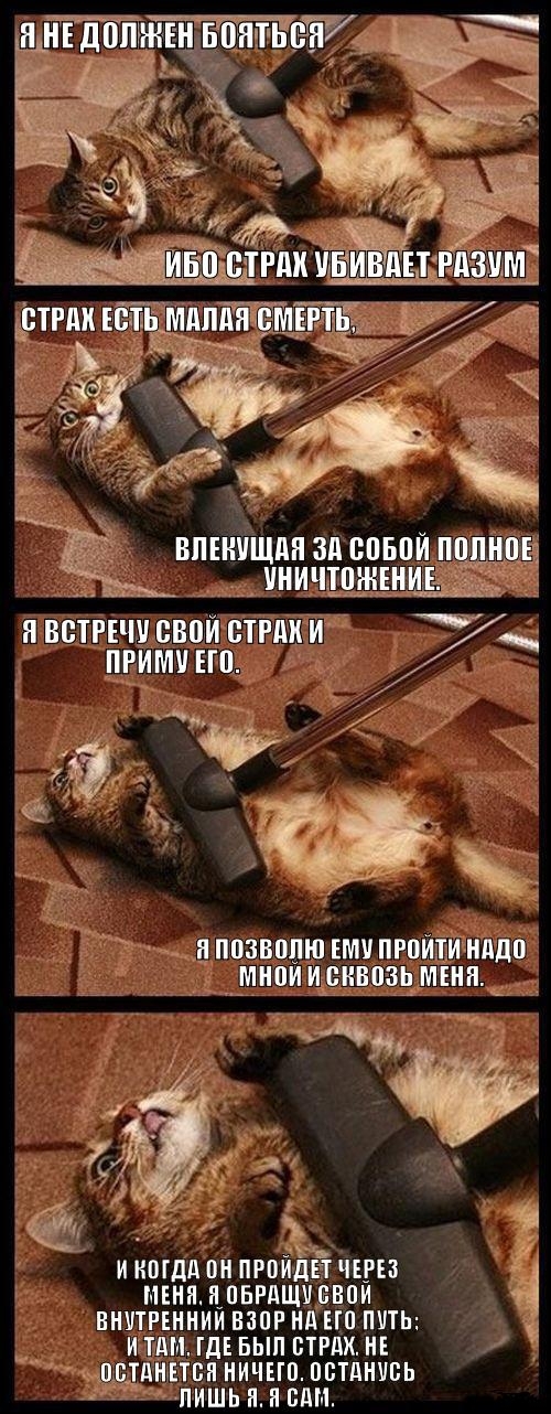 Click image for larger version

Name:	orig.jpg
Views:	166
Size:	446.0 KB
ID:	17027